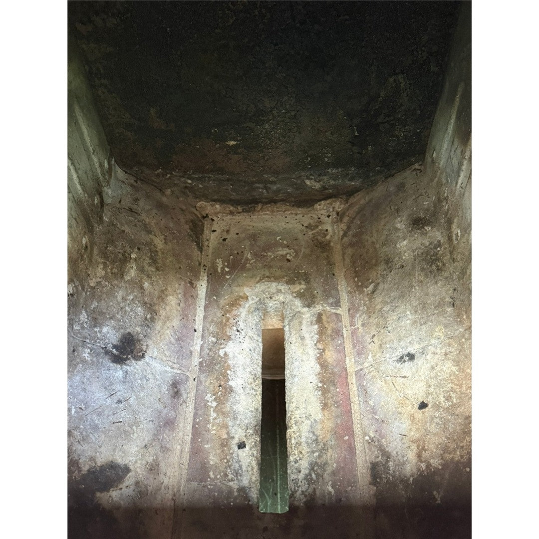 ATMOS DC 50 GD houtvergasser 49 kW